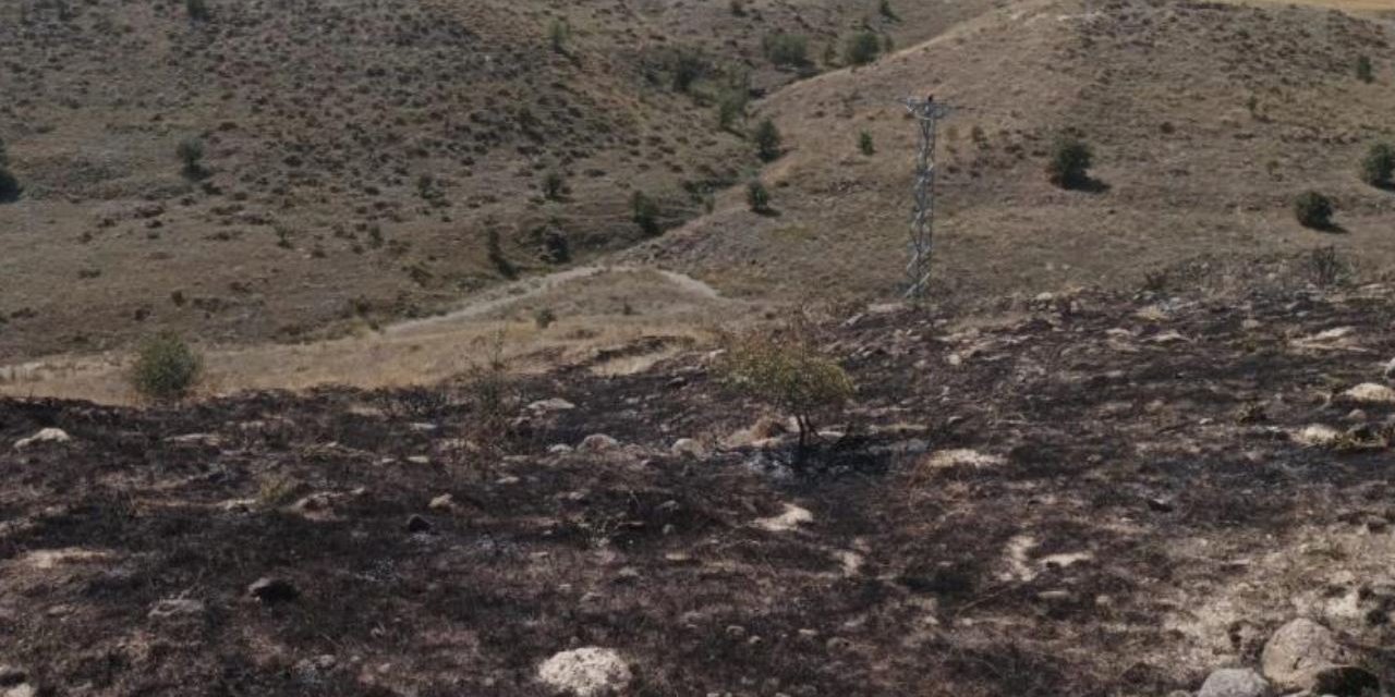 Trafoda çıkan yangın araziyi küle çevirdi