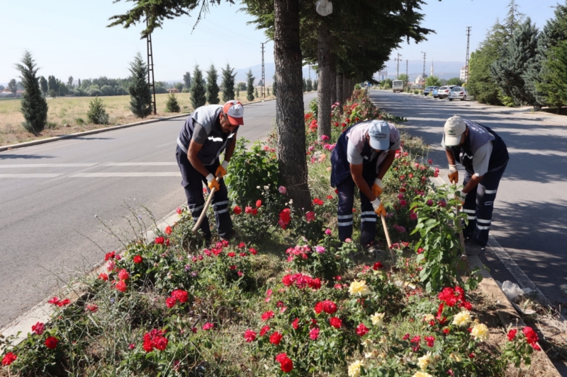 Cadde sokaklarda bayram temizliği