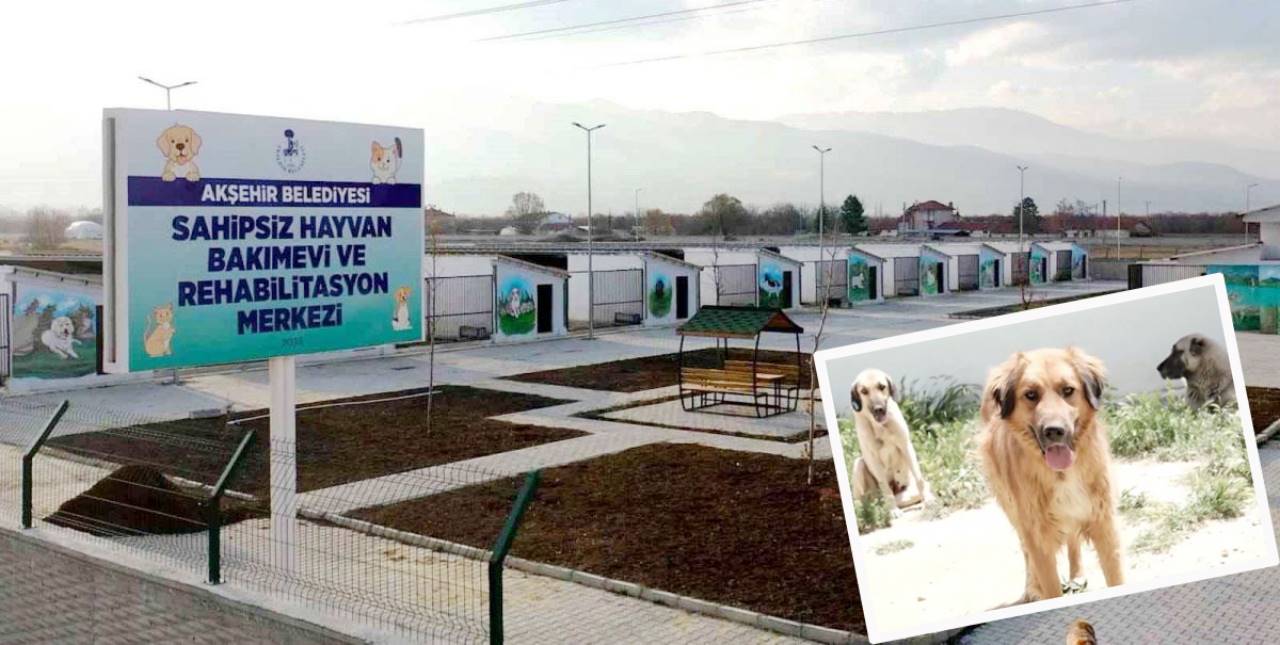 Sahiplendirip masrafını karşılıyorlar