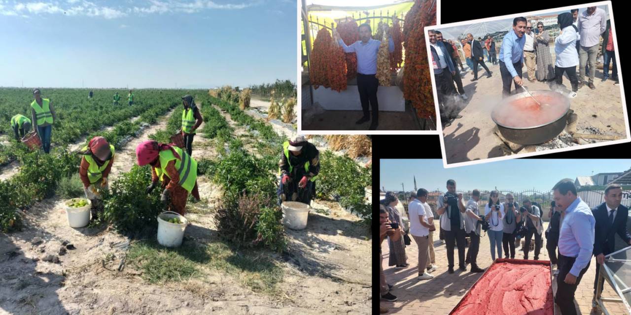 Karatay Belediyesi ‘Ata Tohumu’na sahip çıkıyor