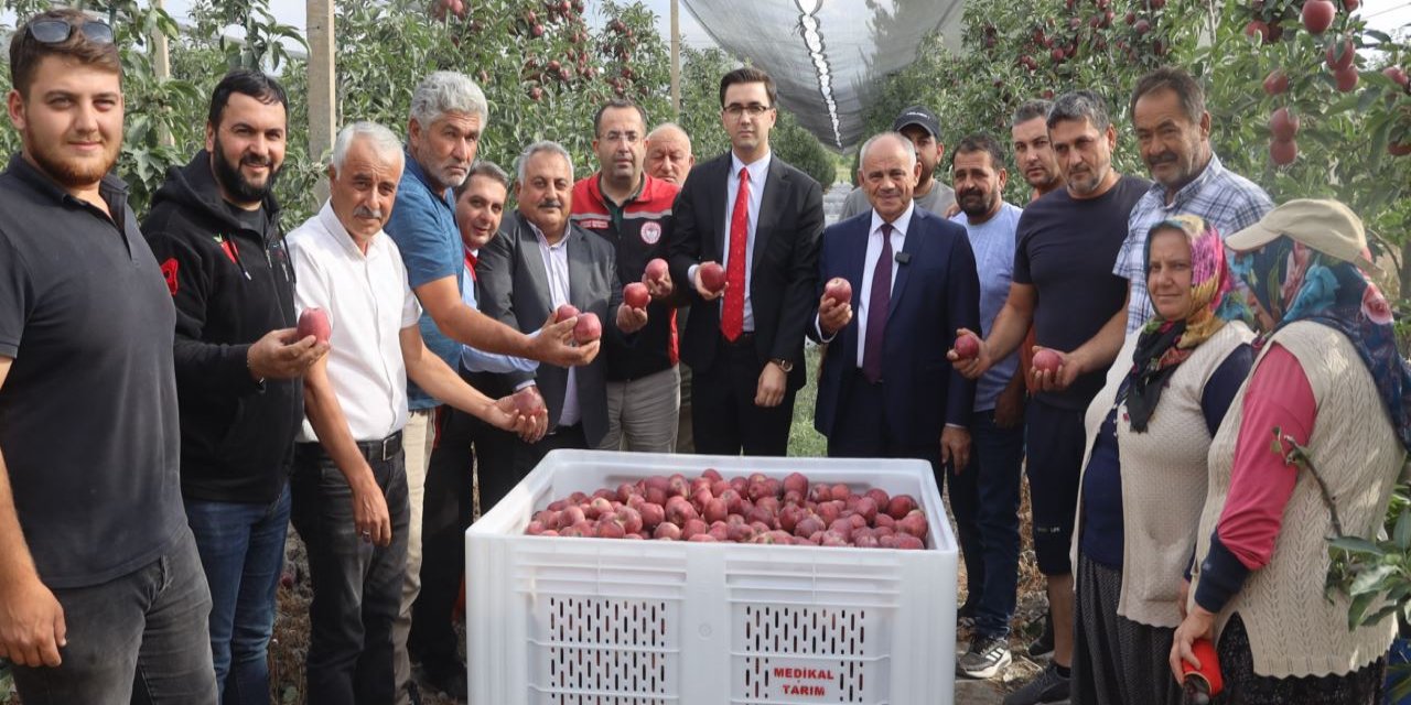 Yahyalı’da elma hasadına başlandı