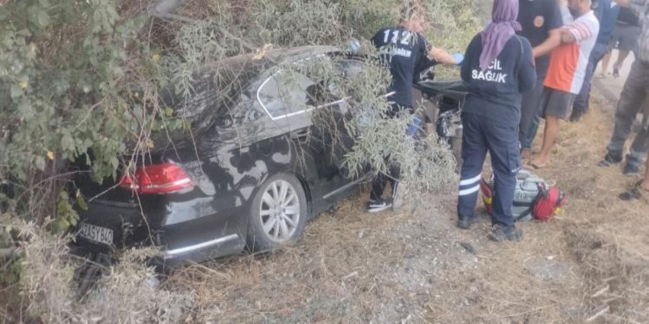 Konya'da yol kenarındaki ağaçlara çarpan araçtaki 1 kişi feci şekilde can verdi