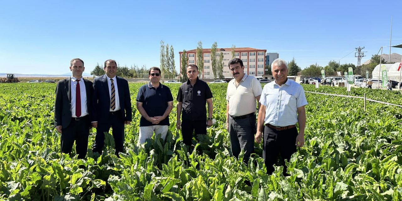 Milli pancar tohumlarımız çiftçimizin tercihi olacak