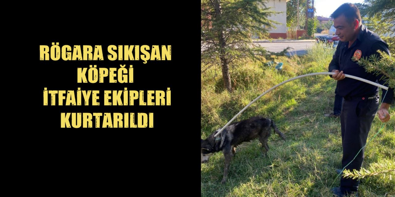 Yağmur suyu hattına sıkışan köpek kurtarıldı