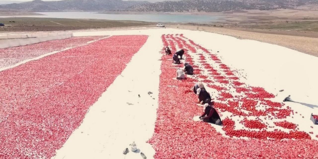 Yozgat'ın kurutulan domatesleri yurt dışına ihraç ediliyor