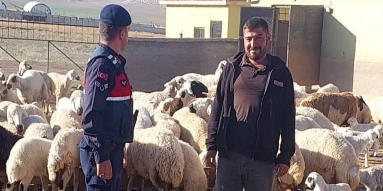 Kaybolan küçükbaş hayvanlar dronla bulundu