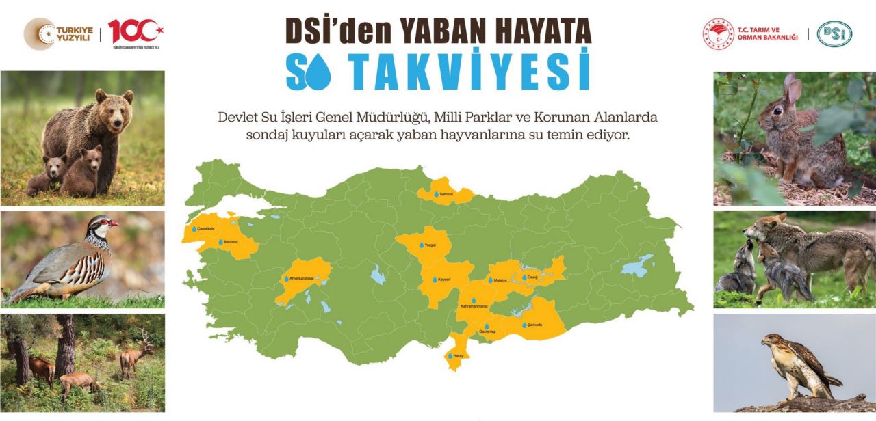 DSİ'den yaban hayata su takviyesi