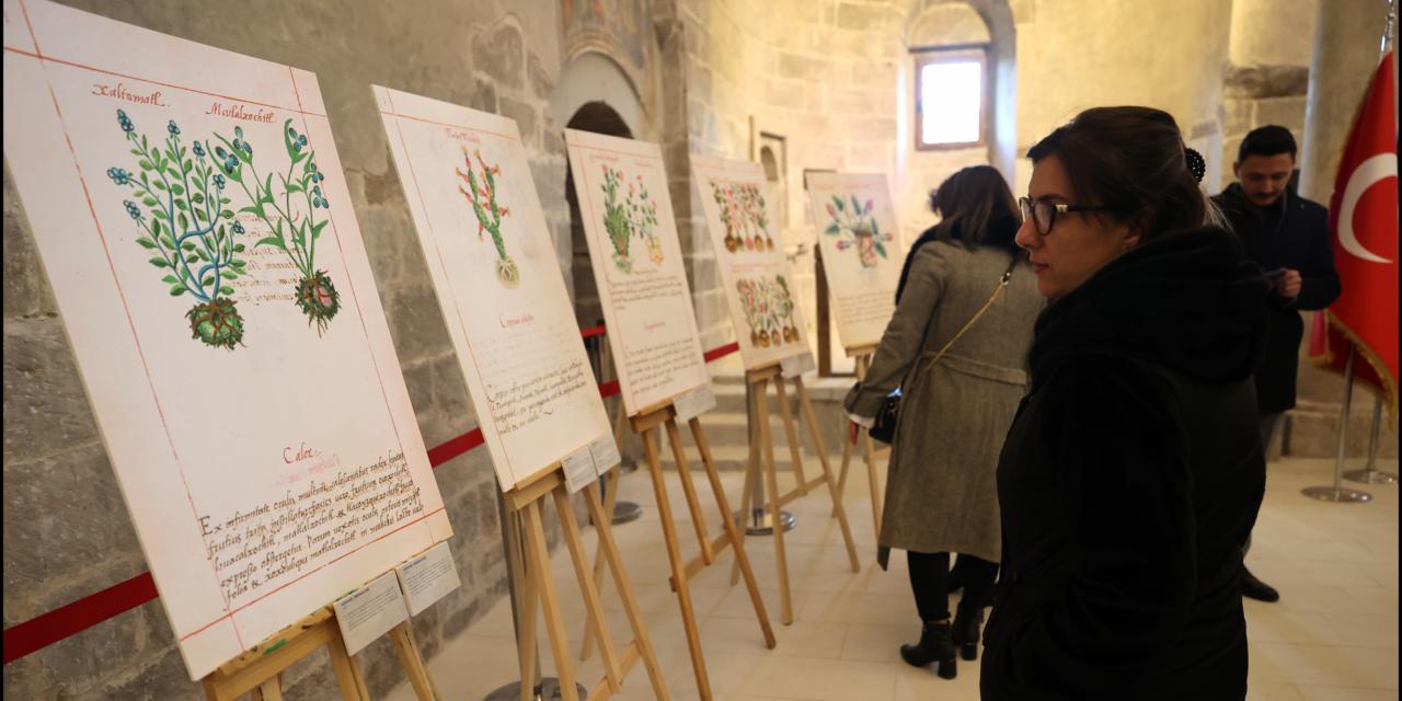 Nevşehir'de düzenlenen resim sergisinde, Meksika'nın tıbbi bitkileri sergilendi