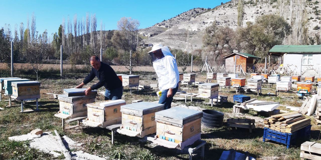 Arılarına destek almak isteyenler süre uzatıldı!