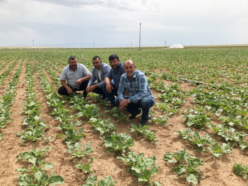 Pancar alım fiyatı nispeten sevindirdi