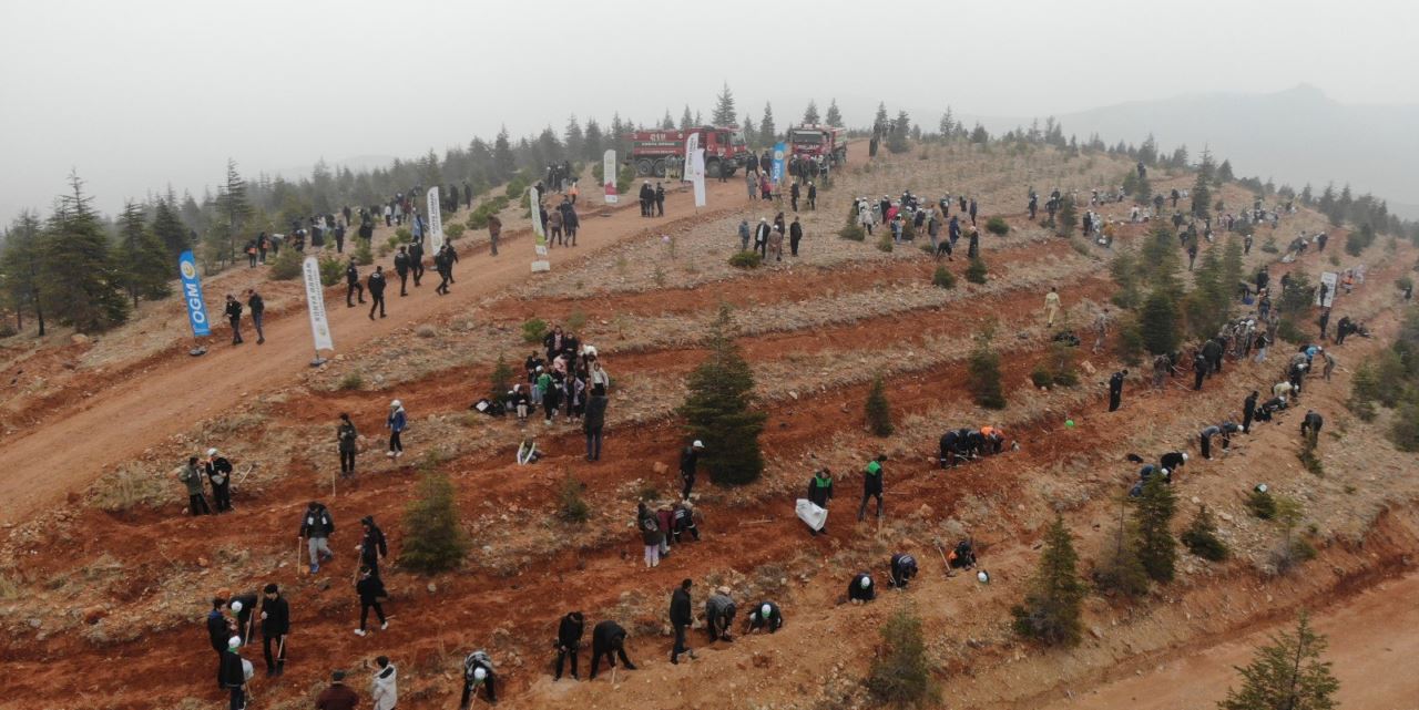 Gazze basın şehitleri için hatıra ormanı oluşturuluyor