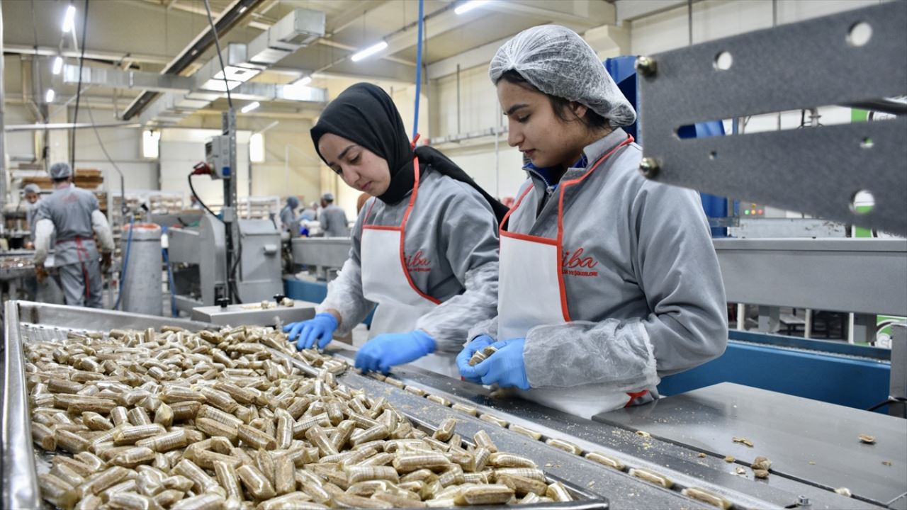 Konya'da gıda ihracatı arttı silah ihracatı azaldı