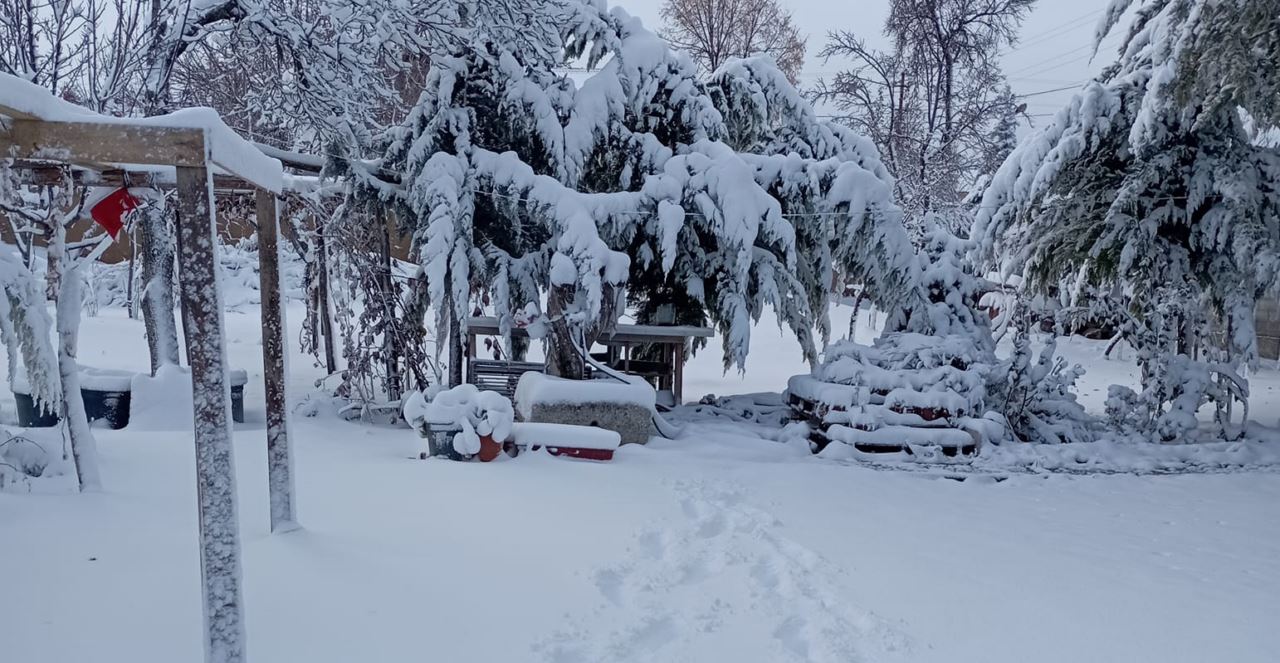 Bereket yağdı, çiftçi sevindi