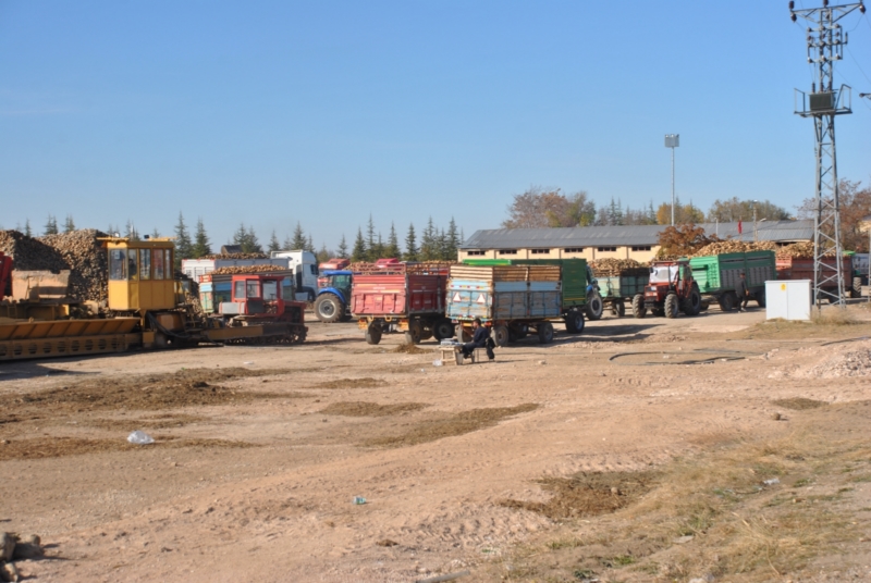 Çiftçiler pancar alımlarına isyan etti