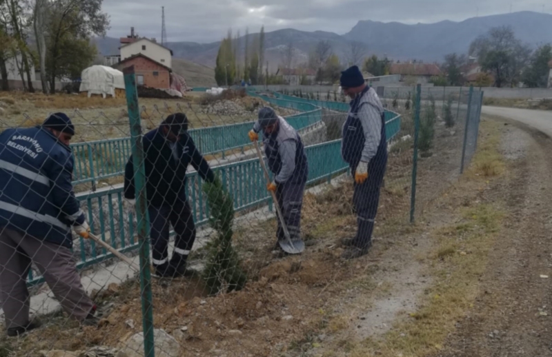 Belediye ağaçlandırma çalışmaları yürütüyor