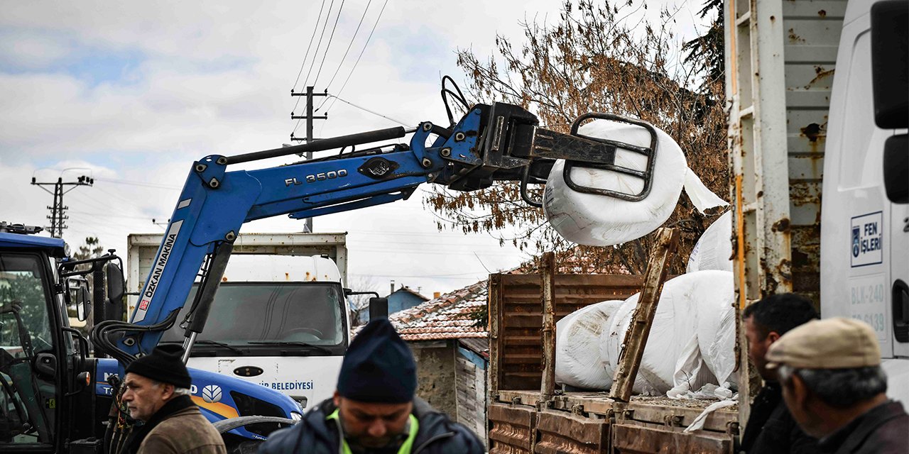 ABB'nin mısır silajı desteği ilçe ilçe sürüyor