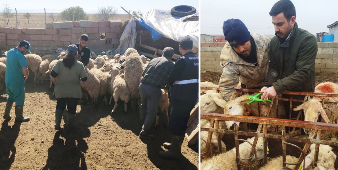 Sarayönü’nde kimliklendirme çalışmaları devam ediyor