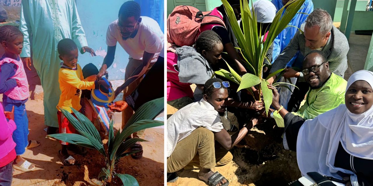 Konya’nın öncülüğünde Afrika'da ağaçlandırma seferberliği