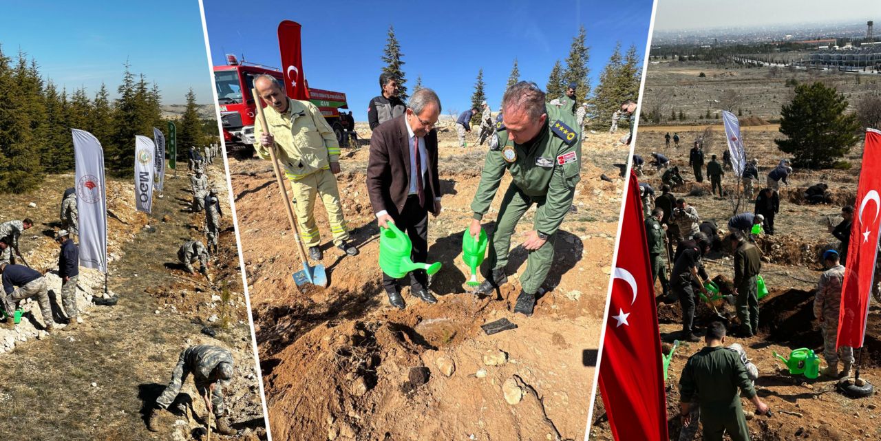 Askerlerimiz bin sedir fidanı toprakla buluşturdu