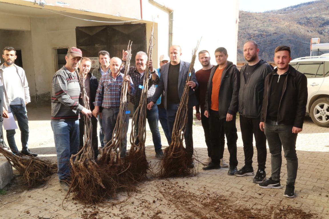 Büyükşehir'den çiftçilere ceviz fidanı desteği