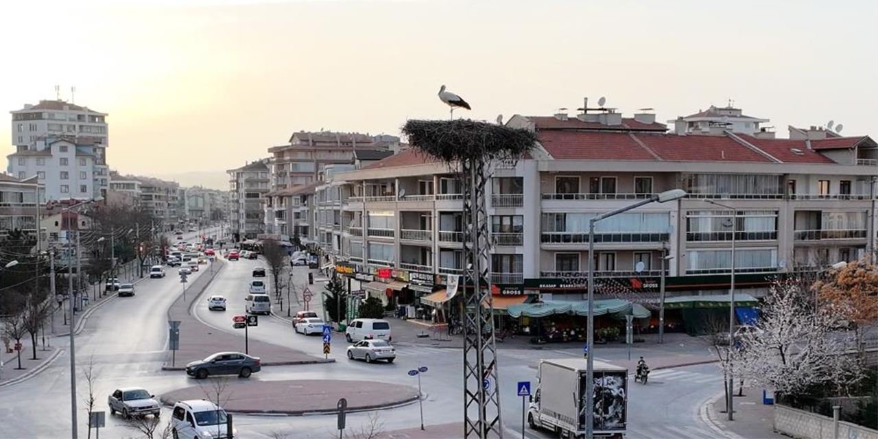 Konya'nın 'Yaren Leylekleri' baharın müjdecisi olarak döndü