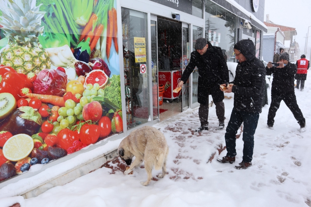 Soğuk kış günlerinde sokak hayvanları unutulmuyor