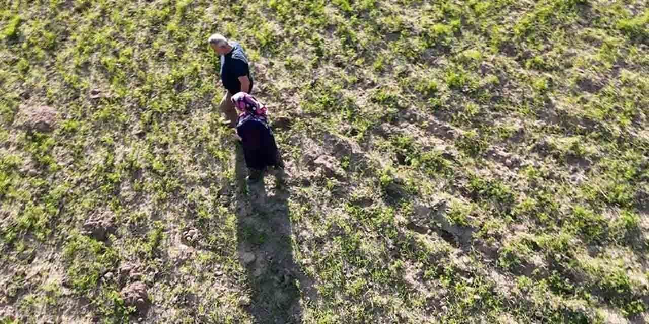 Meyve ağaçları zirai dondan etkilendi, çiftçiler hububattan umutlu