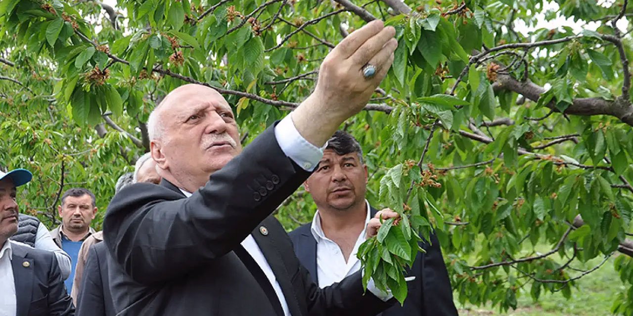 'Üreticinin elinde yüzde 10 civarında ürün kaldı'