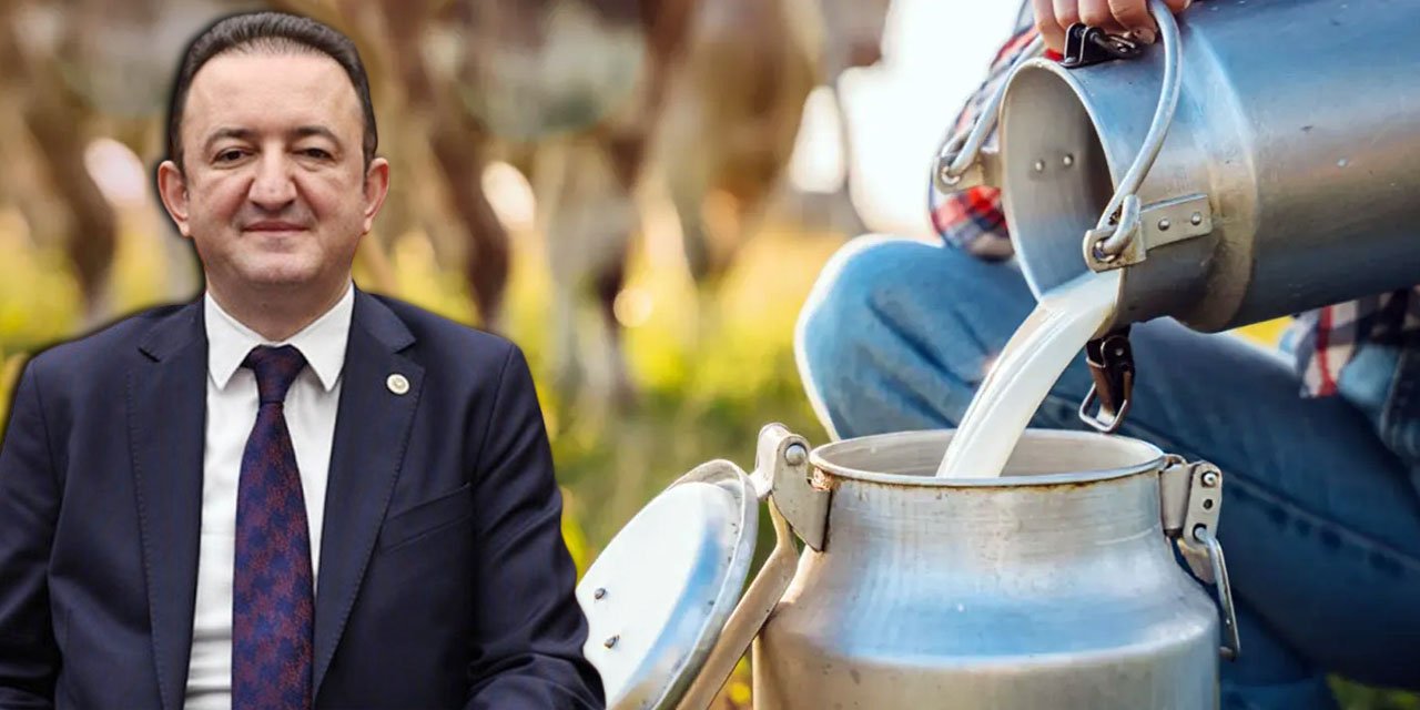 CHP”li Bektaş Tarım Bakanlığını göreve çağırdı: Süt krizi kapıda!