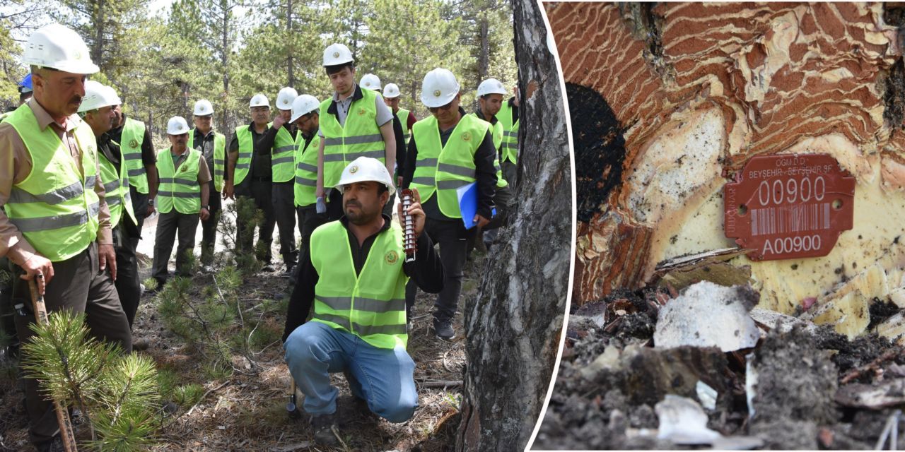 Ormancılara barkot eğitimi verildi