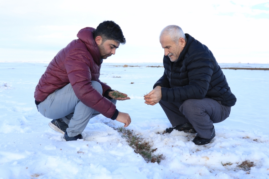 Rekolte beklentisi yükseldi