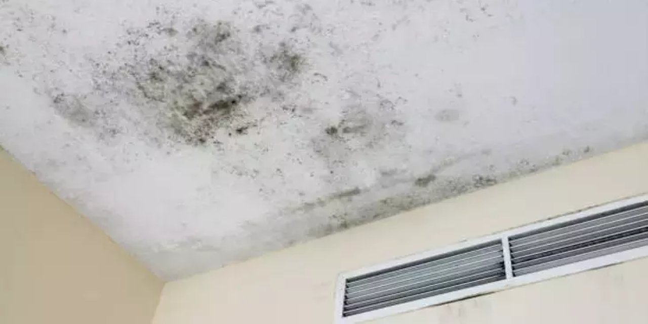Rutubet sessiz tehlike: Mantarlar akciğere yerleşebilir!