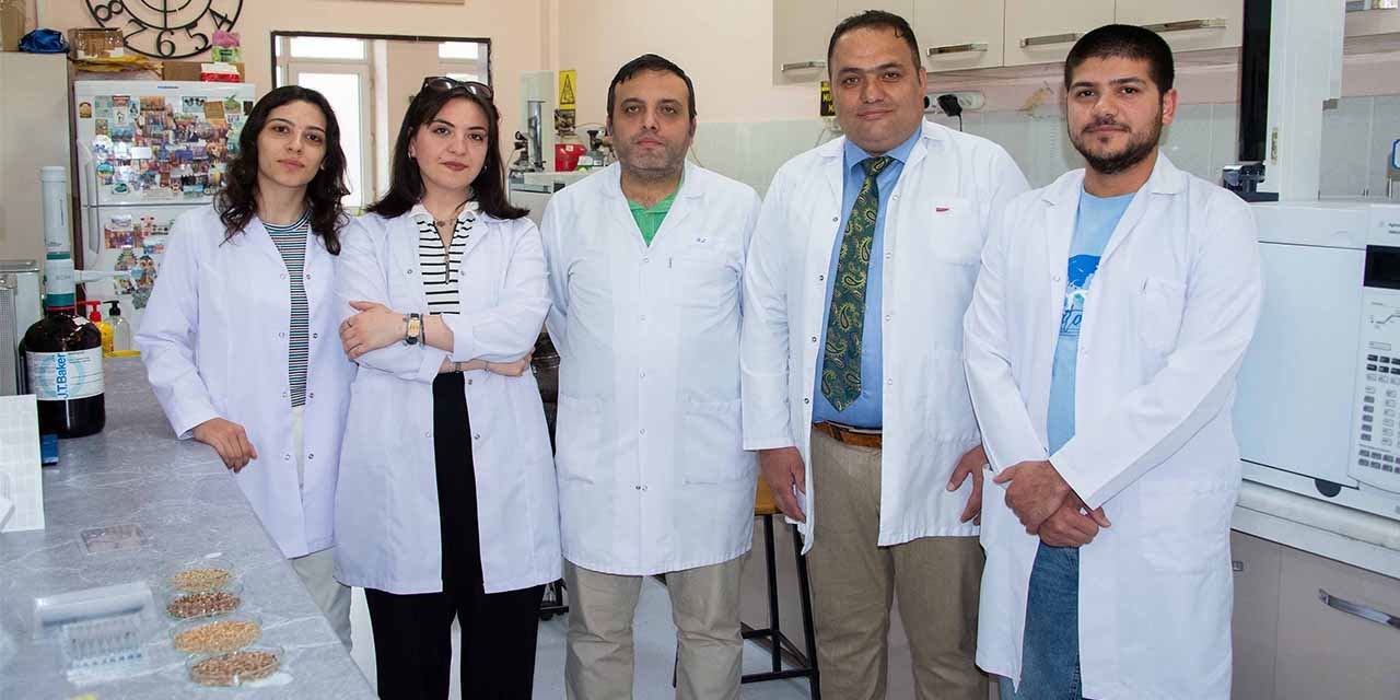 Sarayönü Meslek Yüksekokulu'ndan sofralara renkli devrim: Şifa deposu buğdaylar yolda
