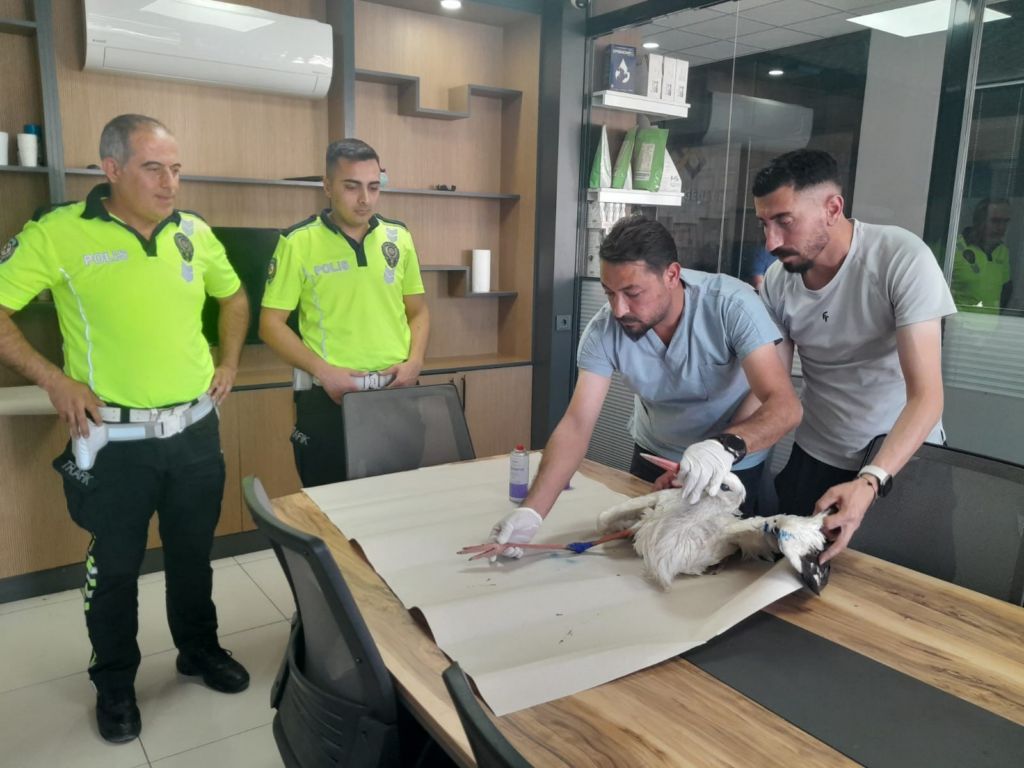 Konya’da yaralı leyleğe polisten şefkat eli
