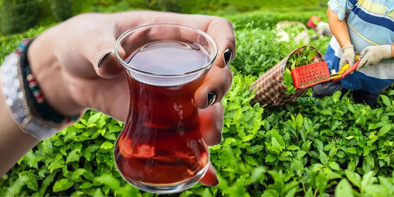 Tiryakinin keyfi kaçacak: Çaya dev zam