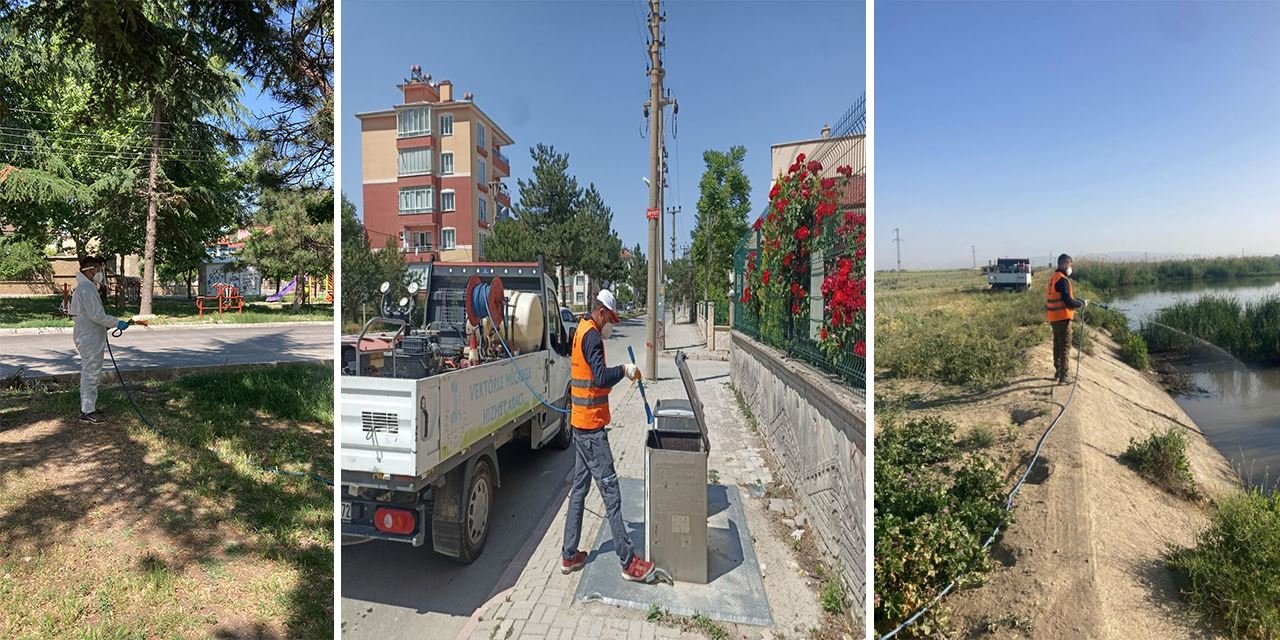 Akşehir'de sinek ve haşereye karşı planlı ilaçlama başladı