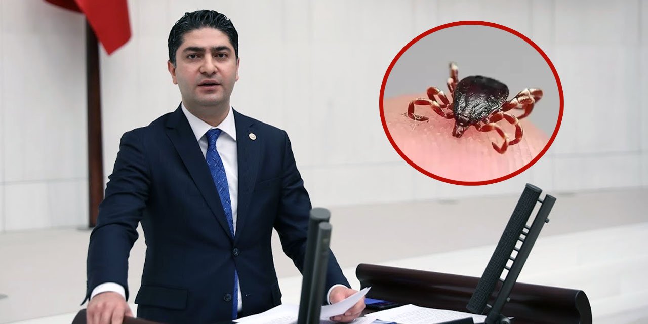 MHP’li Özdemir’den kene ısırığına karşı acil önlem çağrısı