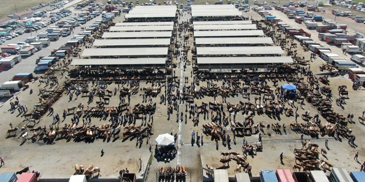 Sivas’ta şap alarmı: Hayvan pazarları geçici olarak kapatıldı
