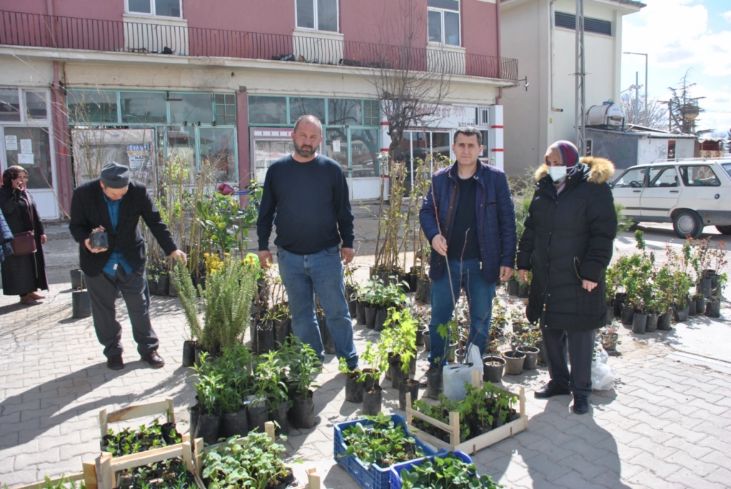 Fidan satışları başladı