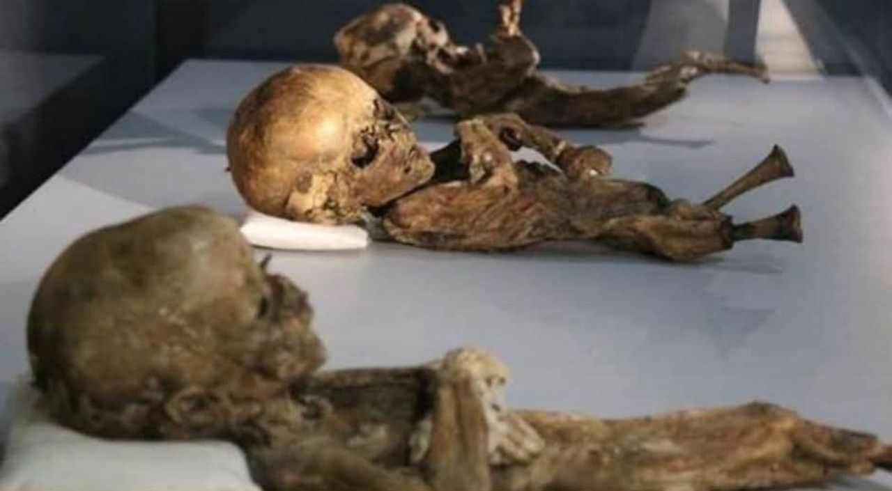 Komşu ilden mumya görüntüleri
