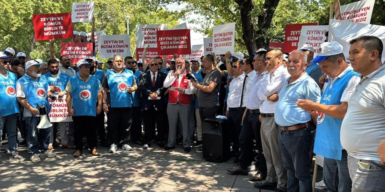 Taşınan her ağaç için iki katı dikilecek