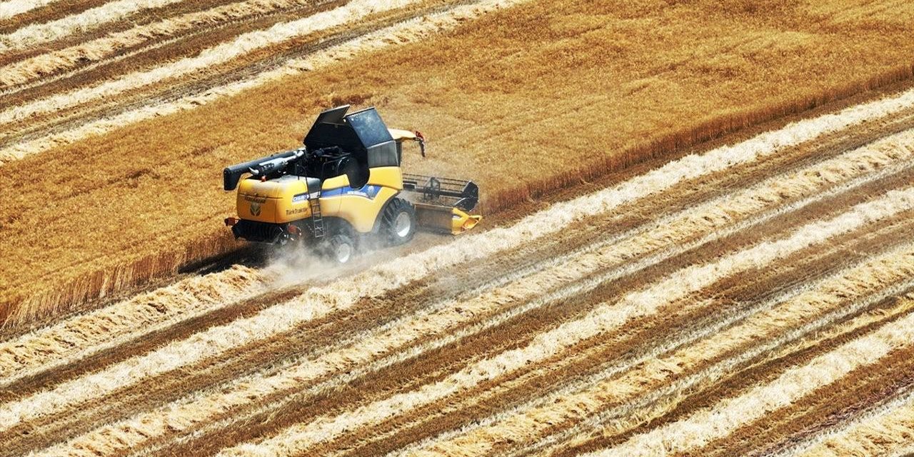 Konya Ovası’nda kuraklık alarmı: Çiftçi hasat yapamıyor