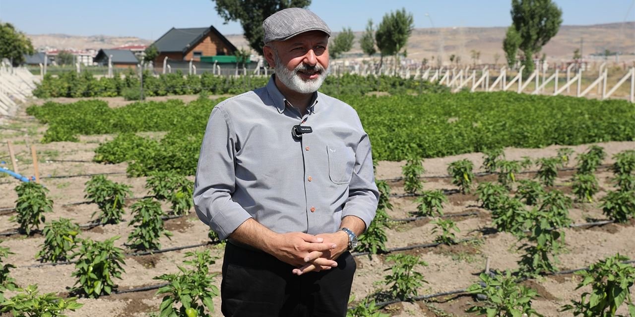 Ata tohumu geleceğe taşınıyor
