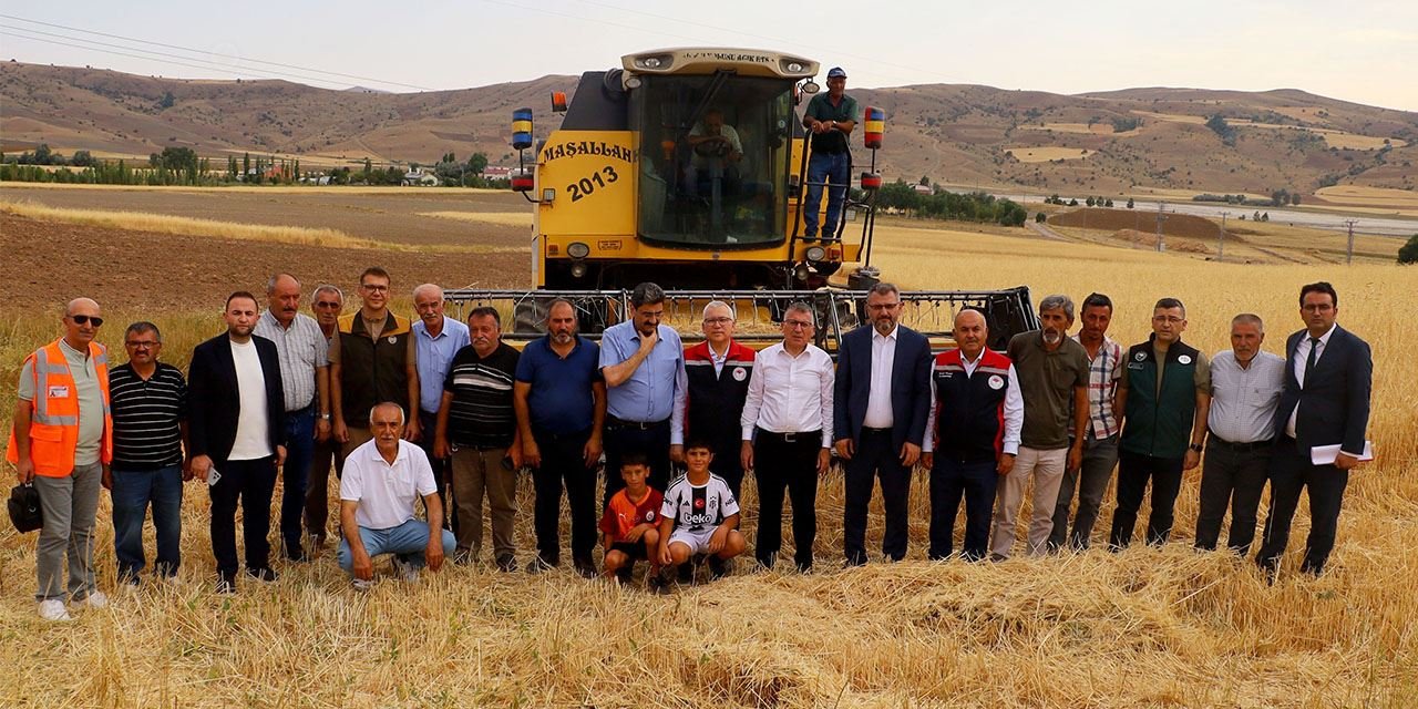 Sivas’ta buğday bereketi erken geldi