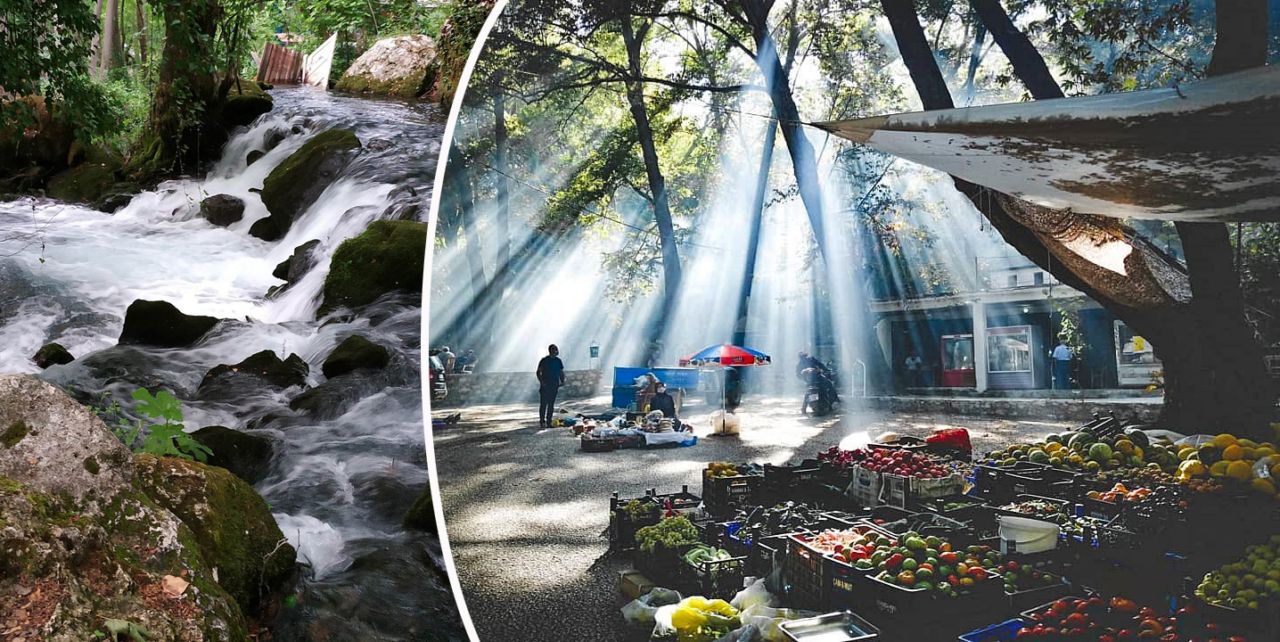 Konya Büyükşehir Zeyve Pazarı’na el atıyor