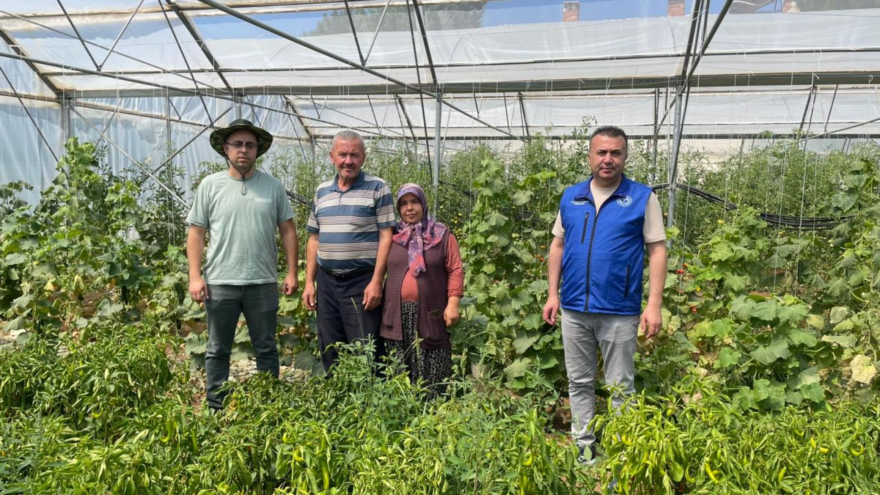 KOP ile seracılık gelişiyor