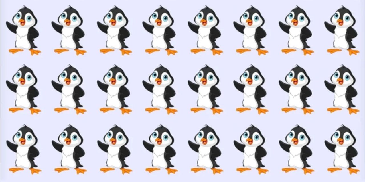 Faklı pengueni 6 saniyede bulanların IQ’su 130 çıkıyor!