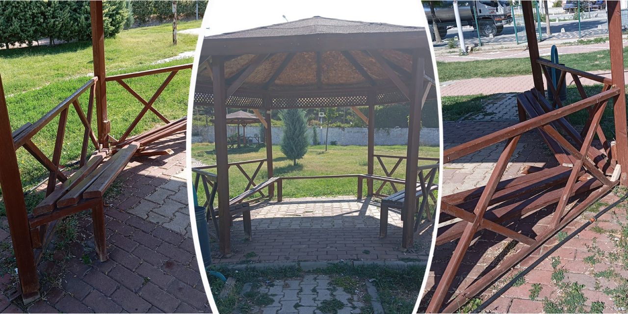Kamelyalara zarar verenlerden bıktılar