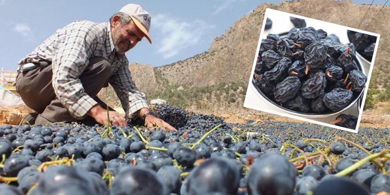 Keçimen üzümüne tescil yolu açılıyor