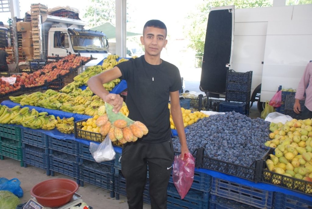 Kaktüs meyvesi tezgâhları süsledi